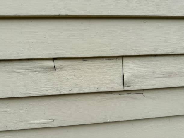 Best Stucco Siding  in East Gaffney, SC