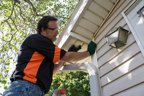 Best Historical Building Siding Restoration  in East Gaffney, SC